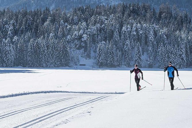 Small-Group Lapland Cross Country Ski - The 3.5-Hour Flow, From Fitting Up to Skiing Out