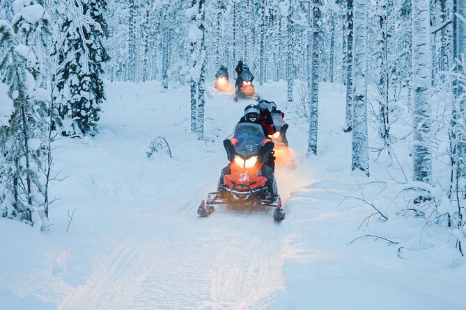 Small-Group Snowmobile Experience in Rovaniemi - The Small-Group Magic: 12 Riders Changes Everything