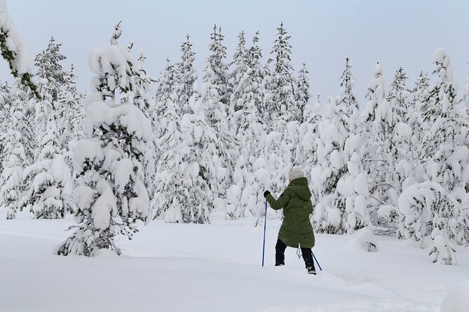 Small-Group Snowshoeing Adventure In Lapland - Key highlights to look for