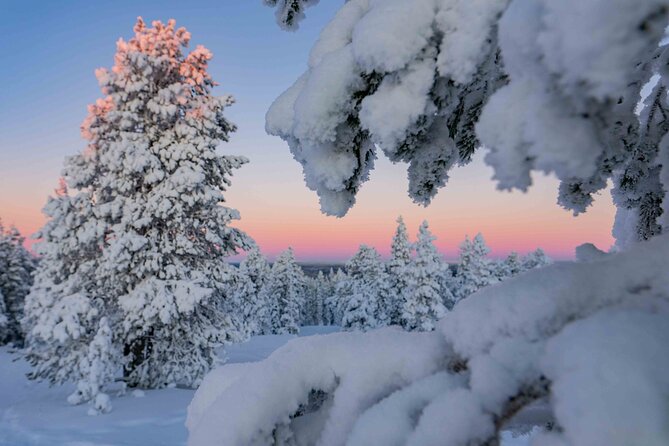 Small-Group Snowshoeing Adventure In Lapland - Snowshoeing with a small group, maximum 8, in Rovaniemi’s Arctic forests