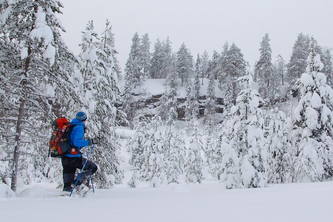 Small-Group Snowshoeing Adventure In Lapland - Price and value: $104 for gear, transport, and 3 hours of guided winter time