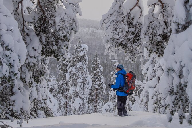 Small-Group Snowshoeing Adventure In Lapland - Weather-smart planning and the chance of aurora conditions