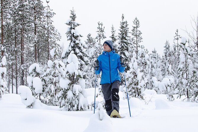 Small-Group Snowshoeing Adventure In Lapland - What happens on the snowshoes: pacing, nature lessons, and animal chances