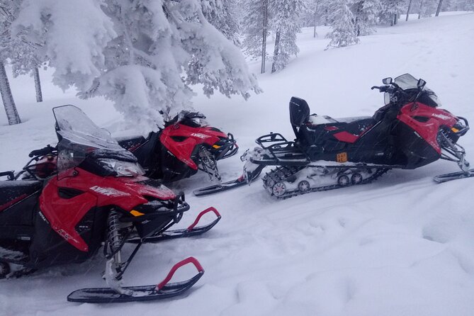 Snowmobile and Ice Fishing Excursion (private tour) - Price and what you really get for $480.61 per person
