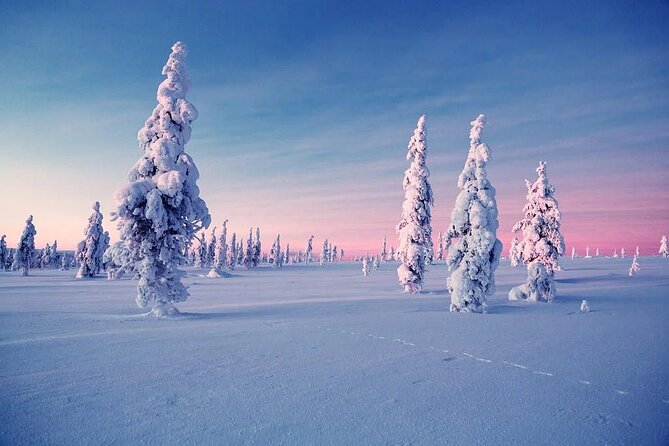 Snowmobile and Ice Fishing Experience - Lunch by the bonfire: salmon, sausage, and hot drinks