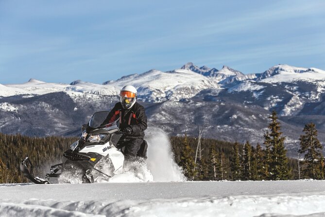 Snowmobile & Animals Day Tour - Winter speed plus animals, without the full-day slog
