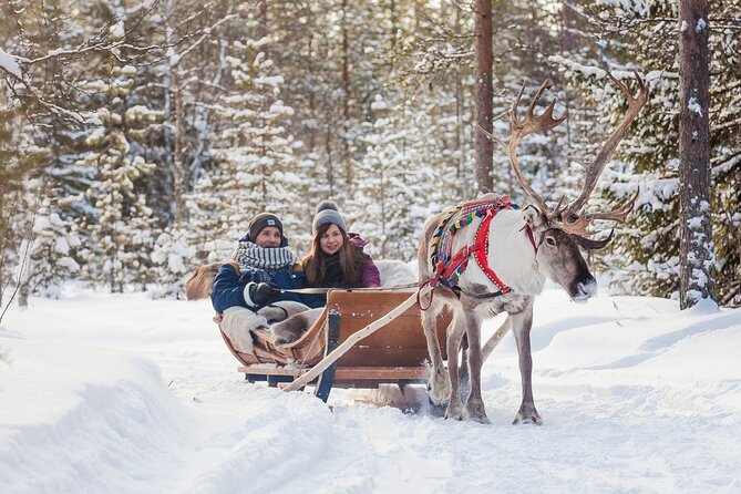 Snowmobile & Animals Day Tour - How timing and the meeting hub can affect your day
