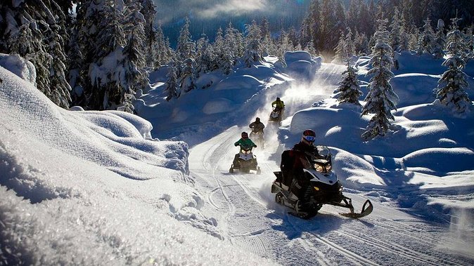 Snowmobile & Animals Day Tour - Huskies: meeting them up close, then a short sled ride