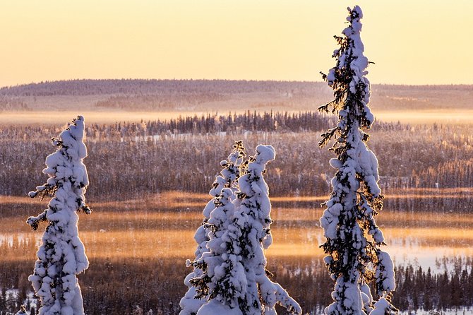 Snowmobile Driving - Morning start - The snowmobile instruction, done the right way