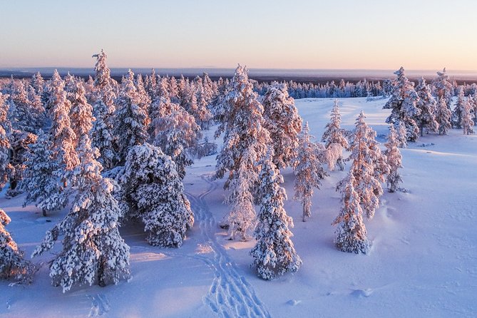 Snowmobile Driving - Morning start - What the ride is like: snowy forests, tricky terrain, and quiet running