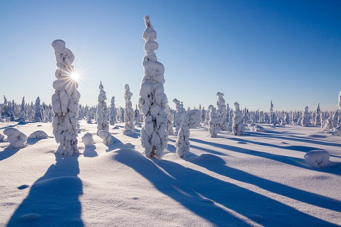 Snowmobile Driving - Morning start - Weather, licensing, and the details that can change your plan