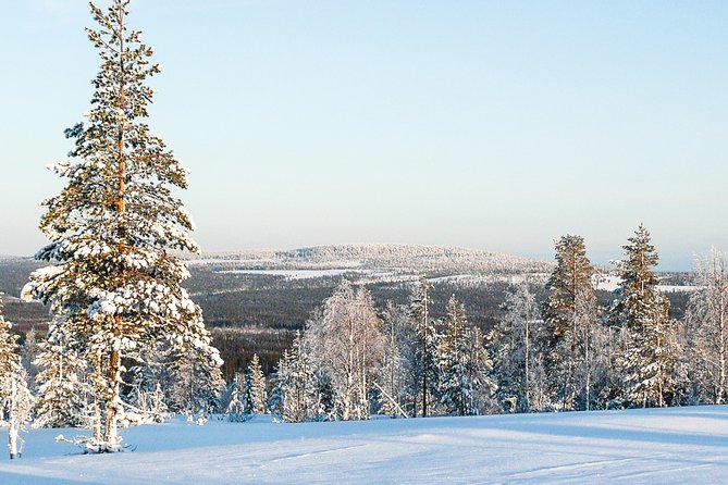Snowmobile Safari in the Forest - Getting there and how the day is paced