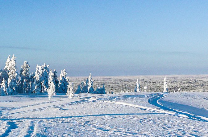 Snowmobile Safari in the Forest - Price and value: why $264.72 can be fair for this kind of day