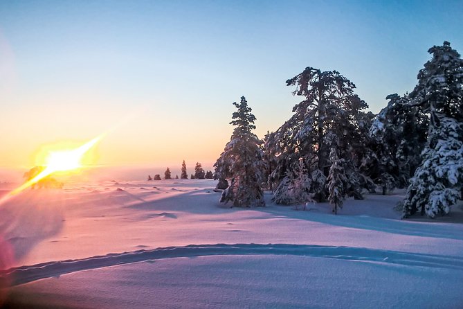 Snowmobile Safari in the Nature - Riding the Snowmobile: Licenses, Solo Options, and How to Feel Confident