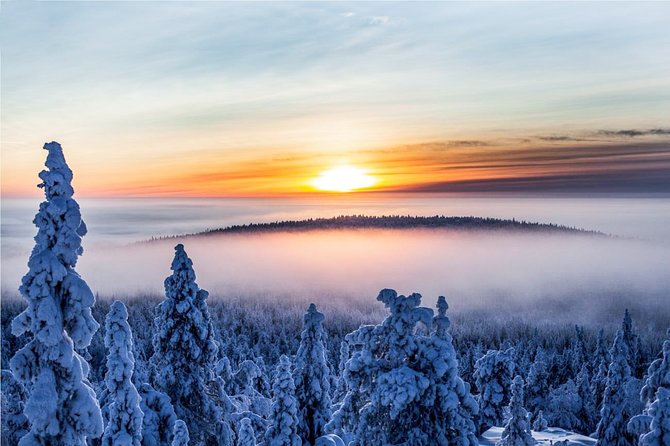 Snowmobile Safari in the Nature - How Long Is It, Really? Timing Expectations That Help You Plan