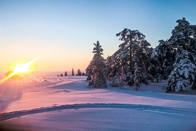 Snowmobile Safari in the Nature - Morning start - What’s included before you even start: pickup, gear, and the small-group vibe