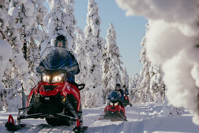 Snowmobile Safari into the Arctic Circle Forest - Key Things to Know Before You Go
