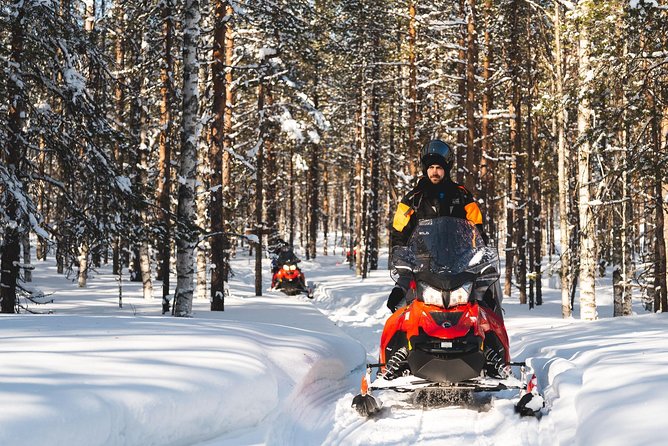 Snowmobile Safari into the Arctic Circle Forest - Getting Warm Fast: Thermal Clothing, Helmets, and Real Winter Comfort