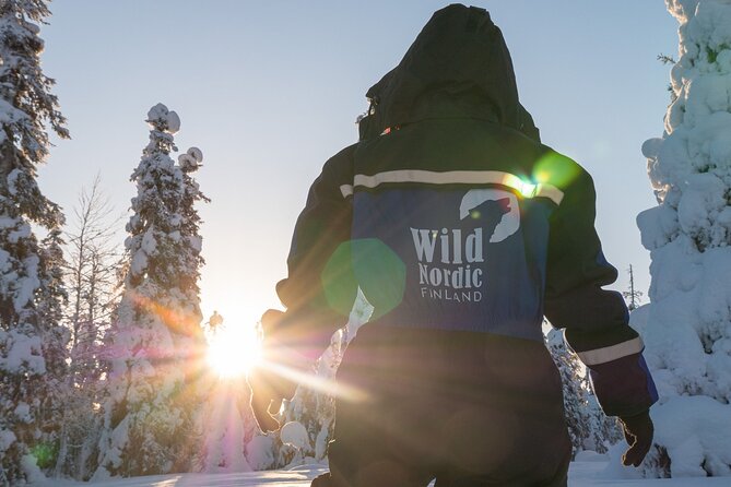 Snowmobile Safari into the Arctic Circle Forest - Cruising Off-Road Forest Trails: What the 2 Hours Feel Like