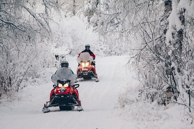 Snowmobile Safari into the Wilderness, Apukka Resort Rovaniemi - The ride itself: what guided wilderness usually feels like