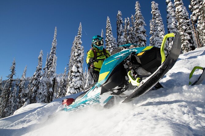 Snowmobile Safari through Lappish Forest from Rovaniemi - Lapland speed meets real winter: what this safari is like