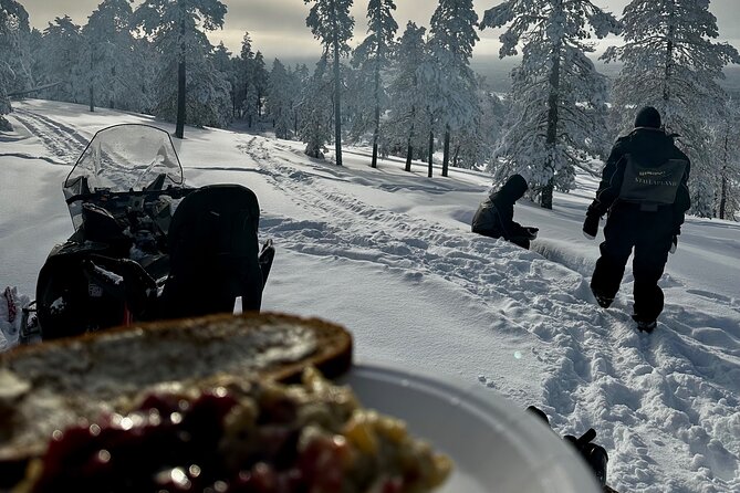 Snowmobile Safari to the Wilderness - Key Highlights You Should Know