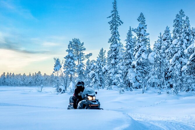 Snowmobile Tour with Small Group in Remote Wilderness 3 Hours - Key points before you go