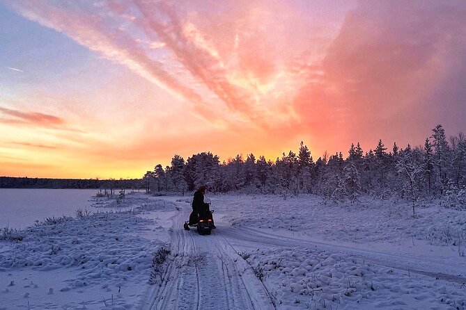 Snowmobile Tour with Small Group in Remote Wilderness 3 Hours - The Snowmobile Experience: New Machines, Real Safety, Comfort on Ice
