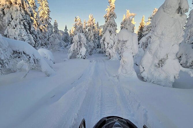 Snowmobile Tour with Small Group in Remote Wilderness 3 Hours - Guides Who Set the Pace, Like Toumas, Tomas, Paula, and Marko