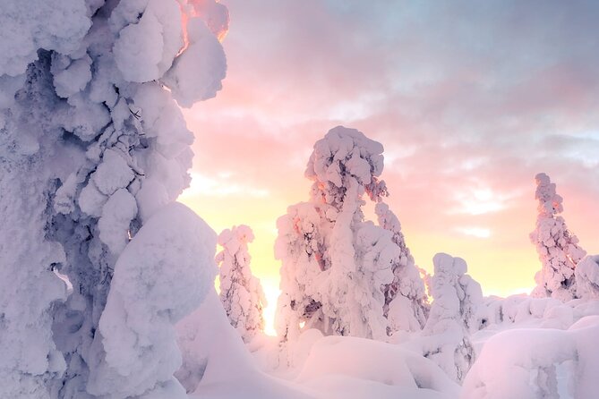 Snowmobile Tours in Rovaniemi Lapland - Key Highlights You’ll Care About