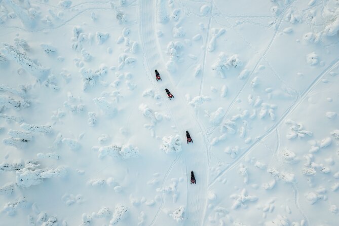 Snowmobiling Quick Spin - 2 h snowmobile experience in Rovaniemi - Key Highlights You’ll Actually Care About