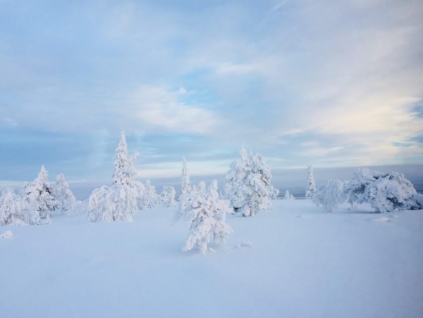 Snowshoe experience with traditional beverages in Lapland - Should You Book This Snowshoe + Traditional Beverages Tour?