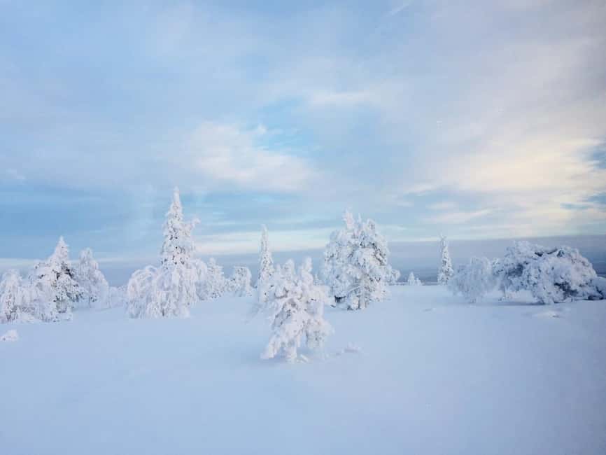 Snowshoe experience with traditional beverages in Lapland - Your 3-Hour Route: From Santa Claus Area Pickup to Snowshoe Time