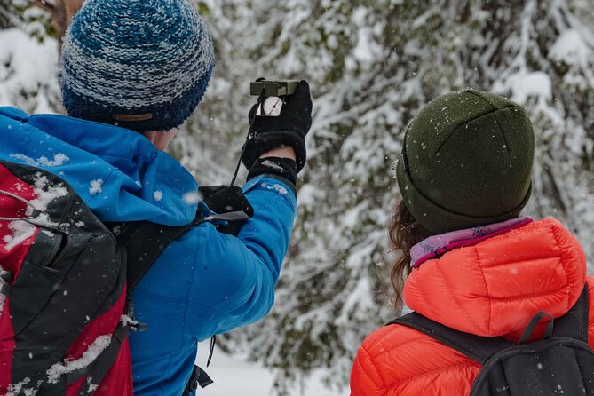 Snowshoeing Adventure with Ice-Fishing, Fire and Survival - Snowshoe Walk Through the Silent Forest: How the Pace Stays Comfortable