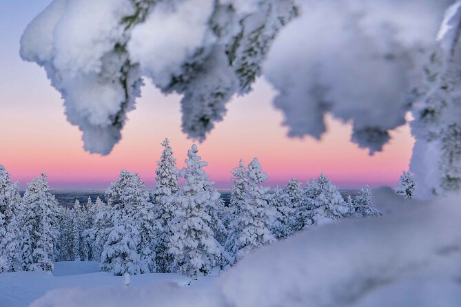 Snowshoeing Adventure with Ice-Fishing, Fire and Survival - Fire-Making the Lappish Way: Warmth, Safety, and Local Plant Tips