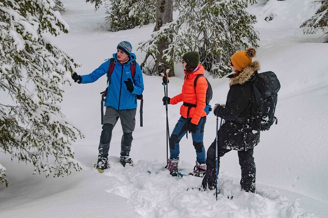 Snowshoeing Adventure with Ice-Fishing, Fire and Survival - Ice-Fishing on a Pristine Frozen Lake: Patience With a Cook-Your-Catch Reward