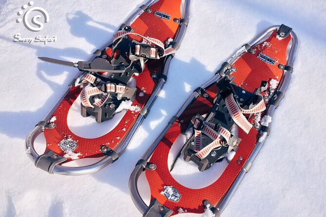 Snowshoeing in Lapland Wilderness - The Walk Itself: Forest Paths, Snow Shoes, and Lappish Explanations