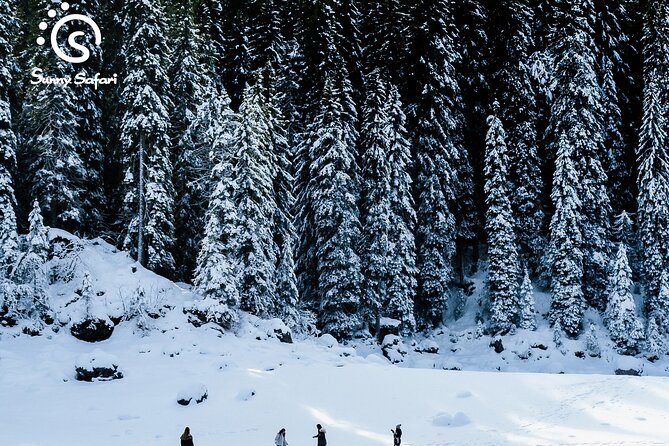 Snowshoeing in Lapland Wilderness - Eco-Friendly by Design: Less Fuss, More Nature Time