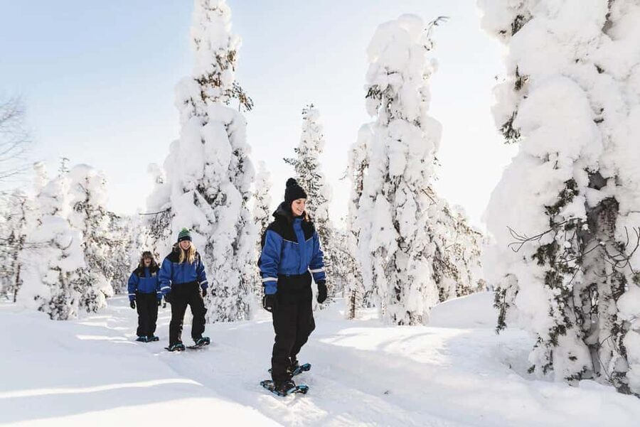 Snowshoeing in the Arctic Wilderness - The Cold-Weather Setup: Thermal Overalls and Staying Warm