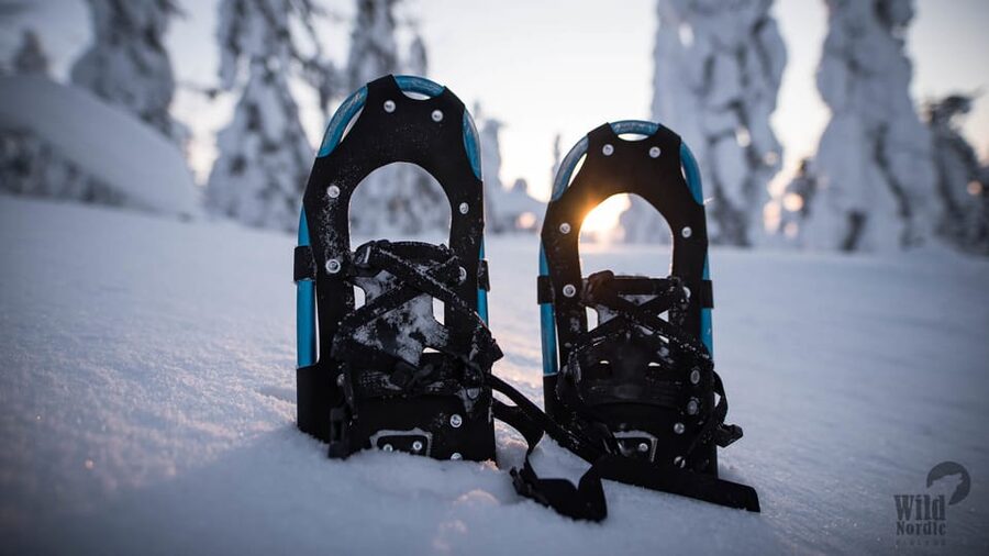 Snowshoeing in the Arctic Wilderness - Price and Value: Is $140 Worth a 4-Hour Arctic Day?