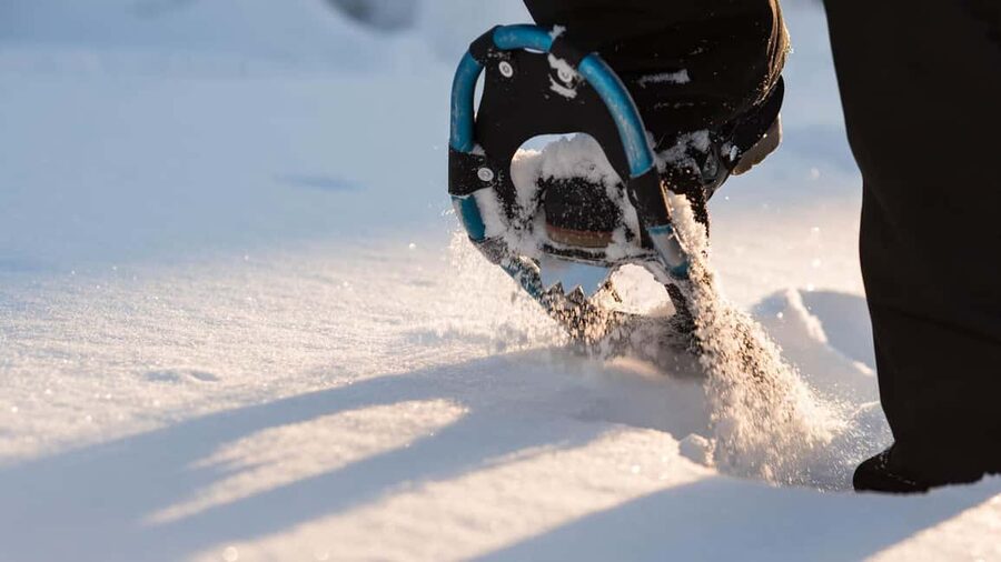 Snowshoeing in the Arctic Wilderness - Getting From Rovaniemi to the Wilderness: Pickup, Vans, and Timing