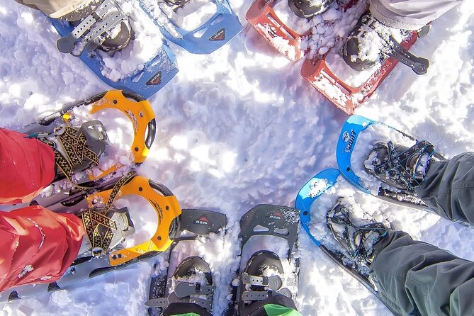 Snowshoeing tour with Wild Lunch - Quick Highlights I’d Prioritize
