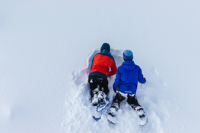 Snowshoeing tour with Wild Lunch - A 3 Hour Rovaniemi Snowshoeing Escape With Wild Lunch