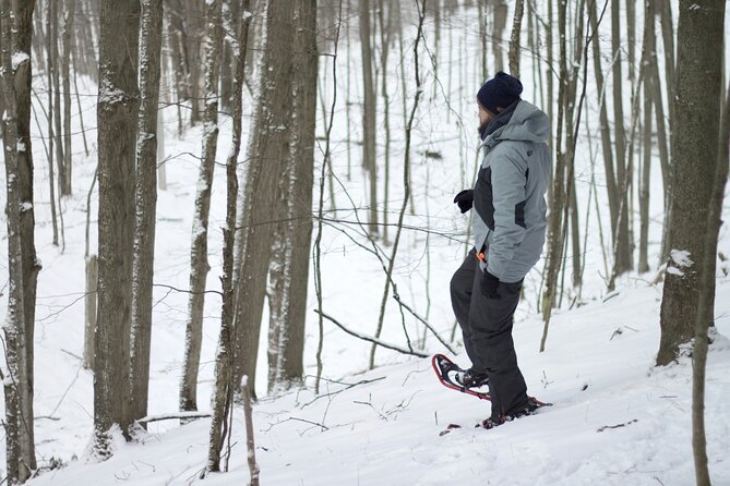 Snowshoeing tour with Wild Lunch - The Frozen Lake Scenery You Can Look For on the Walk