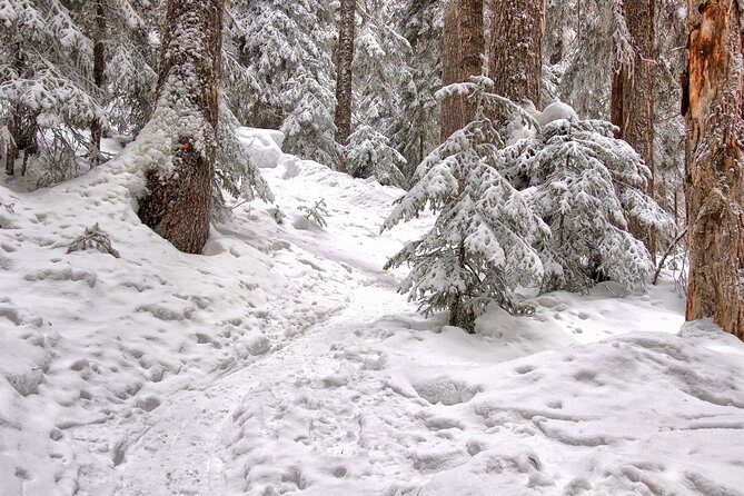 Snowshoeing tour with Wild Lunch - Warming Up in a Teepee: Wild Lunch by the Fire