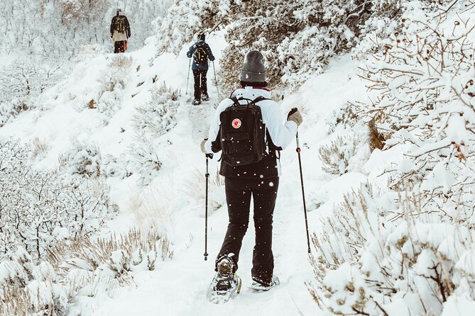 Snowshoeing tour with Wild Lunch - What Your 11:00 am Start Means for a Full Rovaniemi Day