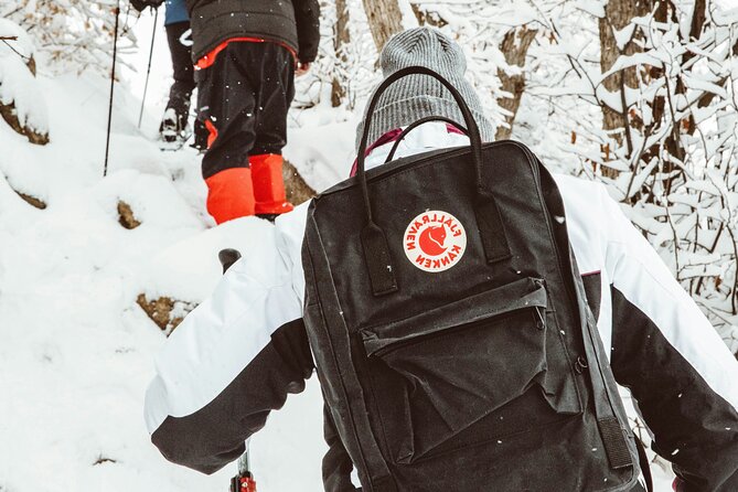 Snowshoeing tour with Wild Lunch - Price and Value: Is $95.53 a Good Deal?