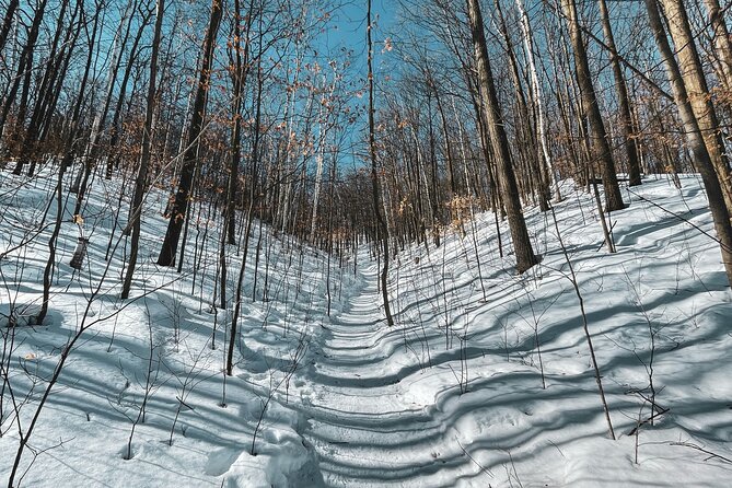 Snowshoeing tour with Wild Lunch - Who This Tour Fits Best (And Who Might Want Something Else)