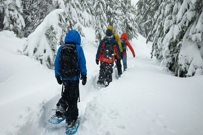Snowshoeing tour with Wild Lunch - Pickup and the 30 km Ride Into Real Quiet