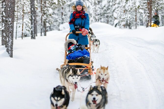 Snowy Trails 10km Husky Safari from Rovaniemi - Back at the Farm: Cookies, Hot Drinks, and Dog Questions Answered